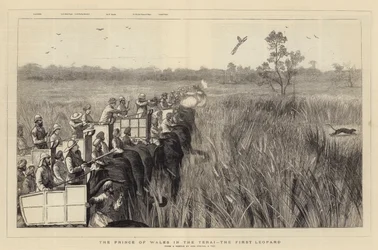 Der Prinz von Wales im Terai, der erste Leopard